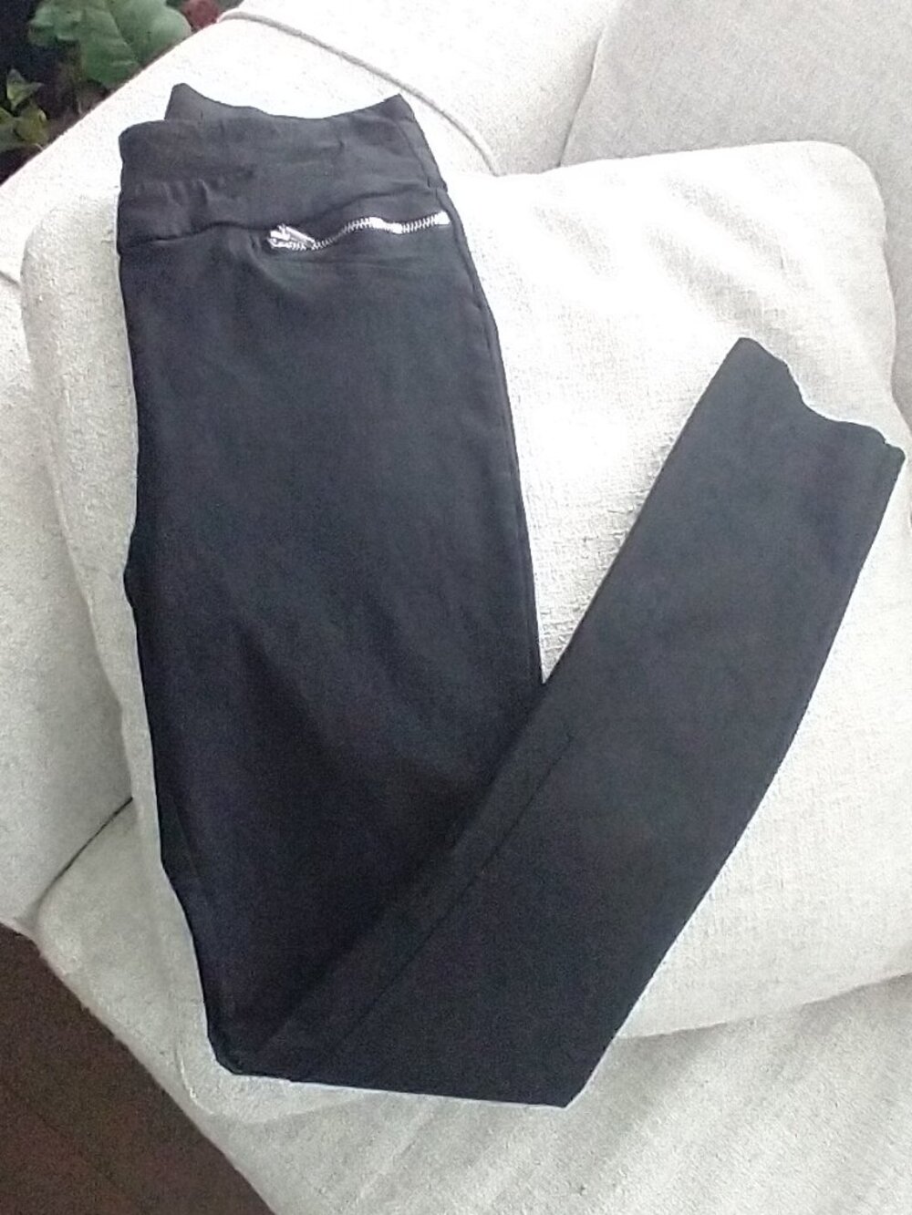 Pant